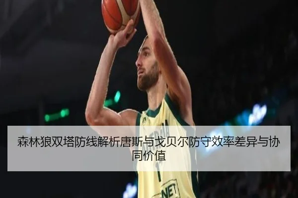 森林狼双塔防线解析唐斯与戈贝尔防守效率差异与协同价值